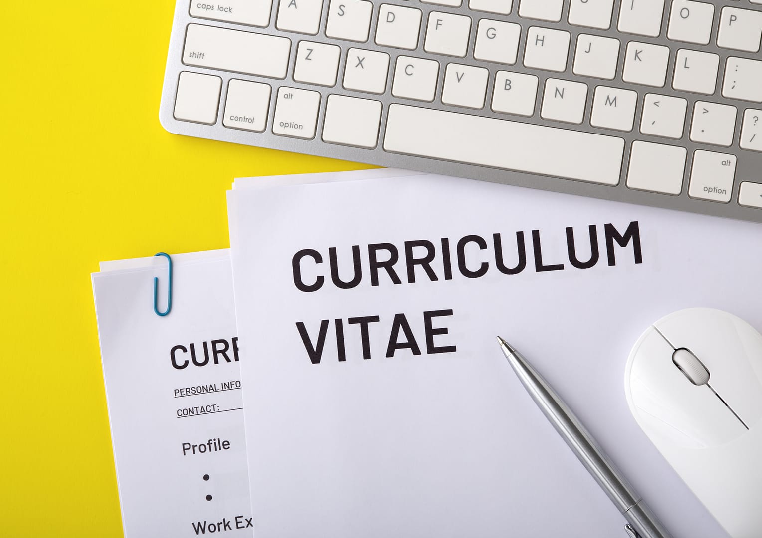 curriculum vitae curriculum vitae